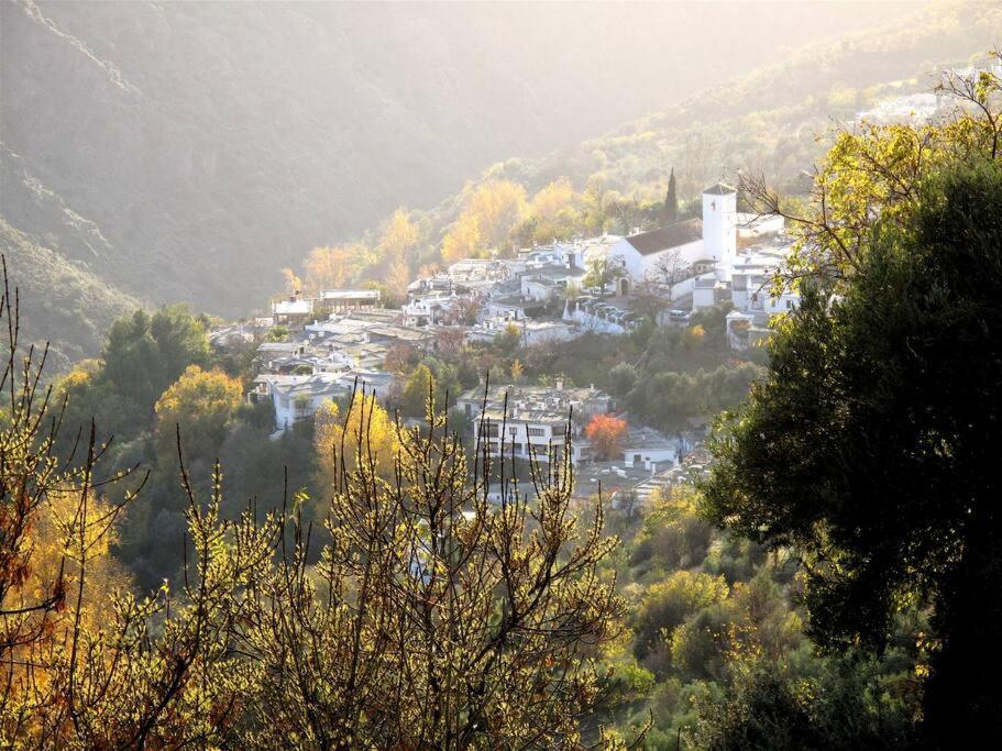 Villa Casa Carmela, Rural House With Spectacular Views, In An Exquisite Area Atalbeitar Exterior foto