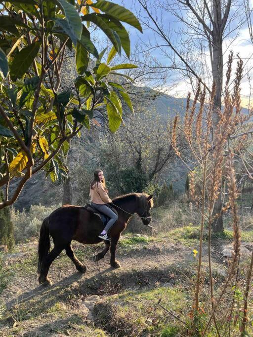 Villa Casa Carmela, Rural House With Spectacular Views, In An Exquisite Area Atalbeitar Exterior foto